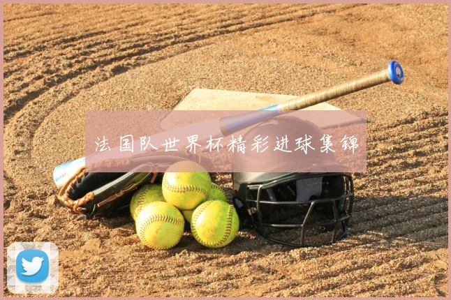 法国队世界杯精彩进球集锦