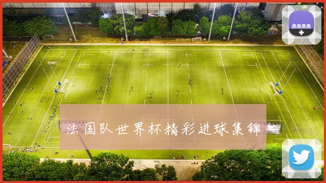 法国队世界杯精彩进球集锦