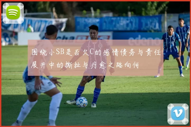 围绕小SB是否欠C的感情债务与责任展开中的撕扯与疗愈之路向何