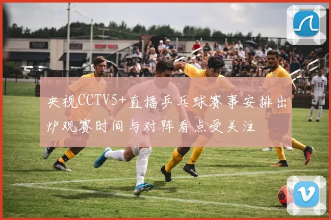 央视CCTV5+直播乒乓球赛事安排出炉观赛时间与对阵看点受关注