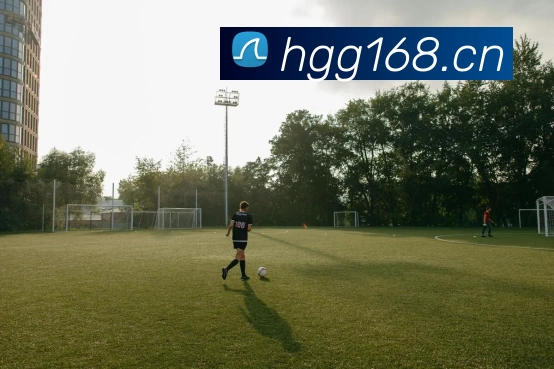 九游体育APP 高清赛事图